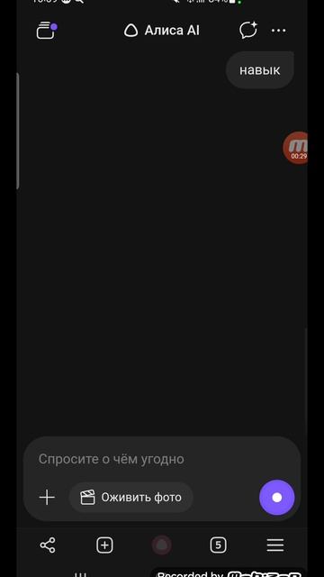 Погода, курсы валют и пробки с Алисой на 3 февраля 2026 года