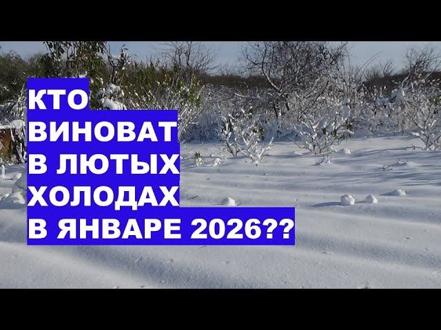 Кто Виноват в Лютых Холодах в Северном Полушарии в 2026 году? смотреть онлайн