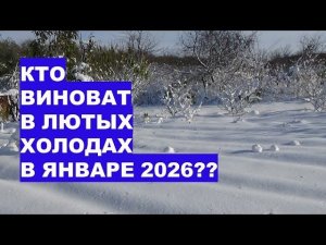 Кто Виноват в Лютых Холодах в Северном Полушарии в 2026 году?