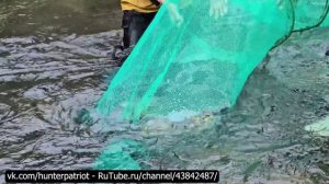 🎣 Рыболовные навыки: Садковые ловушки для речной рыбы на продажу | История мальчика из Хайленда