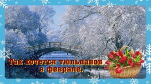 Так хочется тюльпанов в феврале.