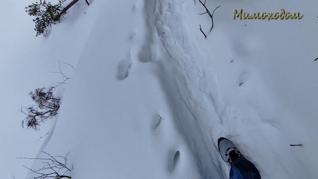 Пока февраль … «МИМОХОДОМ», автор проекта О. Дзиов