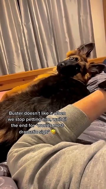 Верни руку на место😠))