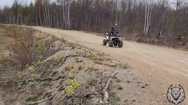 Гонки на квадроциклах Гонки на квадроциклах