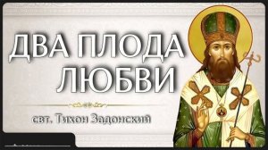 ДВА ПЛОДА ЛЮБВИ _ свт. Тихон Задонский