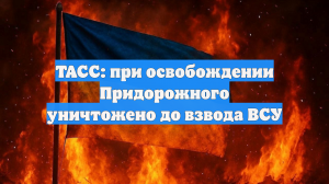 ТАСС: при освобождении Придорожного уничтожено до взвода ВСУ