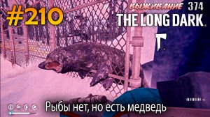 Рыбы нет, но есть медведь | The Long Dark #210