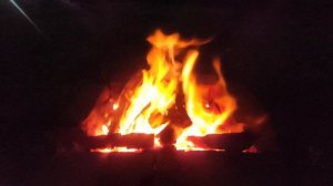 VID_20230509_211420.mp4