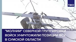 "Молнии" Северной группировки войск уничтожили позиции ВСУ в Сумской области