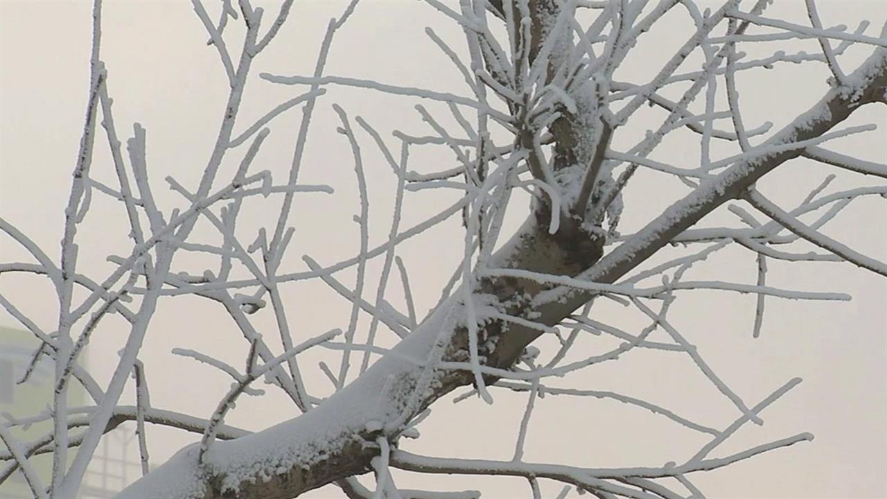 В Центральной России сильные морозы продержатся еще несколько дней. смотреть онлайн