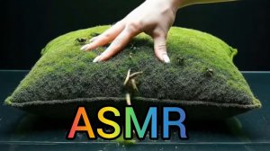 ASMR AL / ИИ