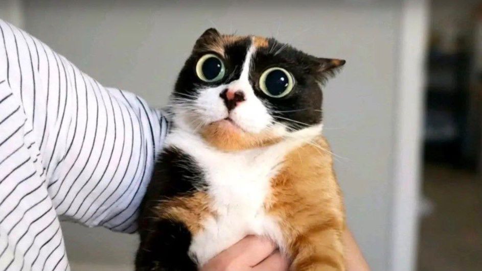 СТРИМ ПРОСТО СТРИМ смотреть онлайн