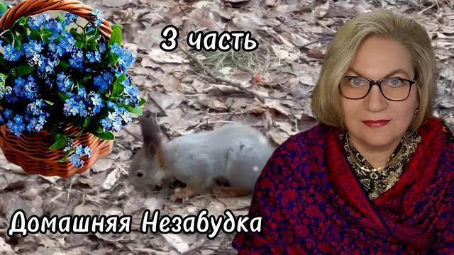 3 часть. Нет ❌️ денег, нет ❌️восхищения❗️ смотреть онлайн