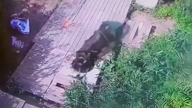 НЕУДАЧНЫЕ СЛУЧАИ НА РЫБАЛКЕ 🤔🫶🙀 НЕУДАЧНЫЕ СЛУЧАИ НА РЫБАЛКЕ 🤔🫶🙀