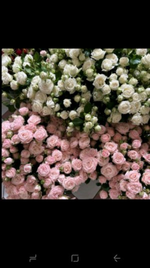 катешааа моё утро