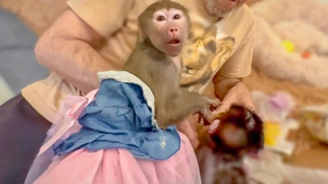 И снова Люся и Степашка делят пастилу Мама, ты что, тоже будешь смотреть онлайн