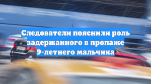 Следователи пояснили роль задержанного в пропаже 9-летнего мальчика