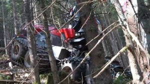 Прекрасная альпийская природа ☀️ и сложные лесозаготовки в горах / Комбайн и лебедки