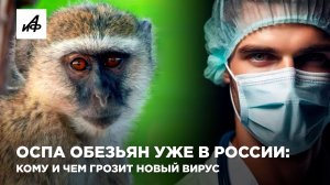 Оспа обезьян уже в России: кому и чем грозит новый вирус