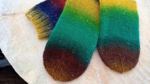 Форза Фестиваль. Мои впечатления.