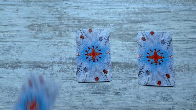 Зимние котопредсказания:)