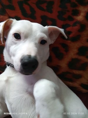 описание сколько у меня подписчиков