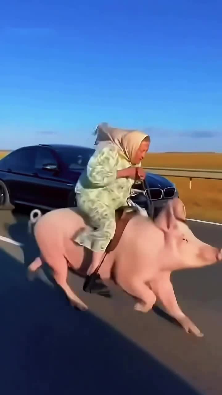 Нe переводить бабы на Руси 😂😂 смотреть онлайн