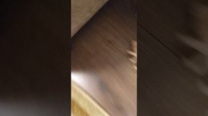 Пять ночей с Ярнаби мой новый короткометражный хоррор фильм!!!!🩸🩸🩸🩸🩸🩸🩸🩸🩸🩸🩸