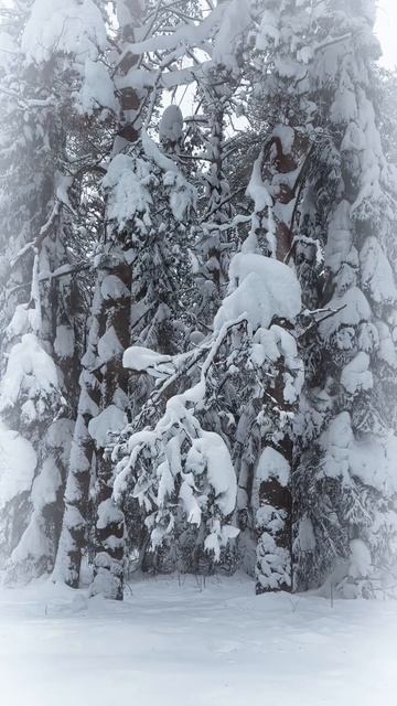 Музыкальная минутка с Барсиком 03-02-2026