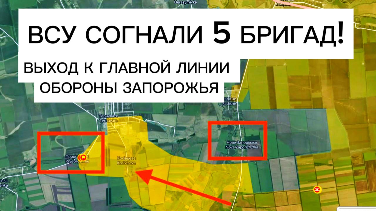 ВСУ перебросили резервы к Гуляйполю! Сражение за линию обороны! Военные сводки 03.02.2026 смотреть онлайн