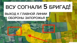 ВСУ перебросили резервы к Гуляйполю! Сражение за линию обороны! Военные сводки 03.02.2026