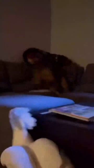 Развлекается как может