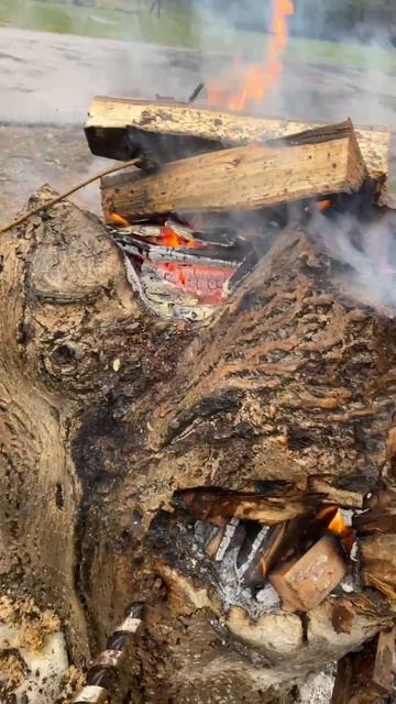 выжигаем пень. смотреть онлайн