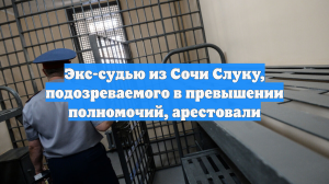 Экс-судью из Сочи Слуку, подозреваемого в превышении полномочий, арестовали