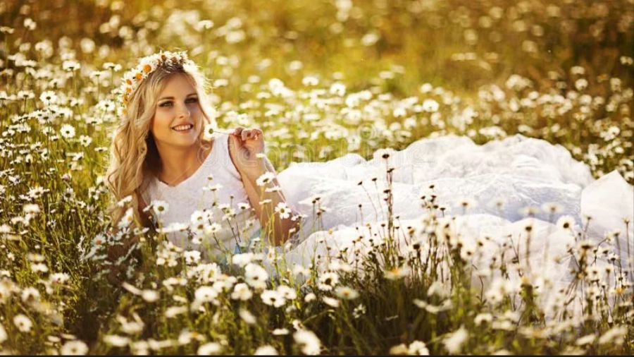 Я ромашка полевая