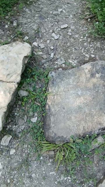 Дольмен Сокровенный |Полосатый| неожиданно открылся моему взору на горе Медвель в Архипо-Осиповке смотреть онлайн