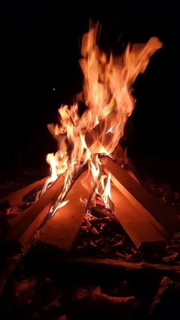 костер.mp4 смотреть онлайн