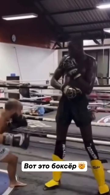 С таким ростом ничего не страшно 😎