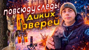 В ЛЕС НА ОХОТНИЧЬИХ ЛЫЖАХ