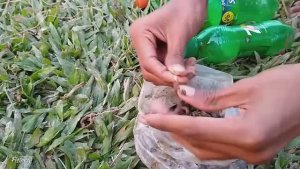 ЛОВЛЯ РЫБЫ С ПОМОЩЬЮ БУТЫЛКИ