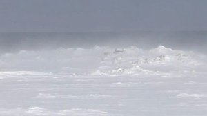 Люди пострадали от столкновения на переправе судна и машины в Хабаровском крае