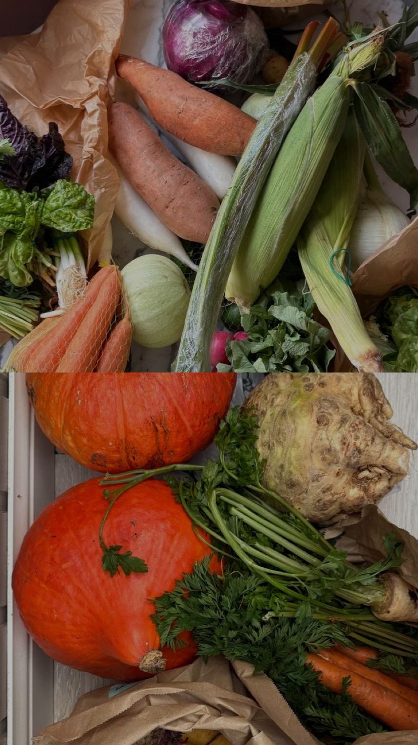 Готовы увидеть, чем действительно питается health-коуч для красоты кожи и здоровья тела?