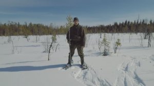 ПОХОД В ЛЕС.  Красивая снежная тайга в апреле. Снегоступы. Добрые походы.