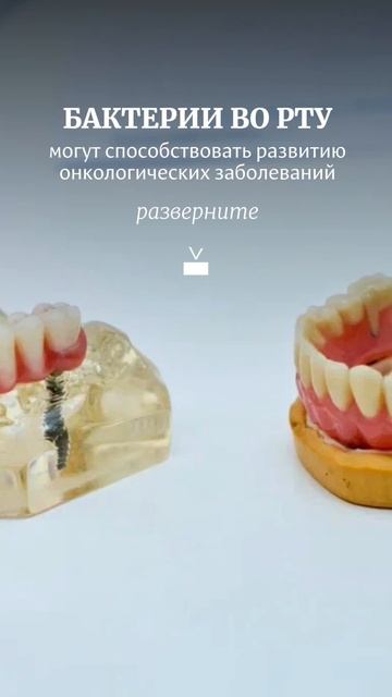 Связь здоровья рта и всего организма