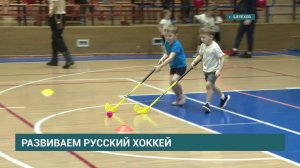 Хоккей с мячом пришёл в Шелехов: в городе открыли детскую школу хоккейного клуба «Байкал-Энергия»