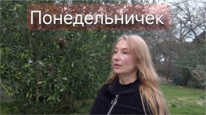 Что сегодня делала, что купила, что в планах.