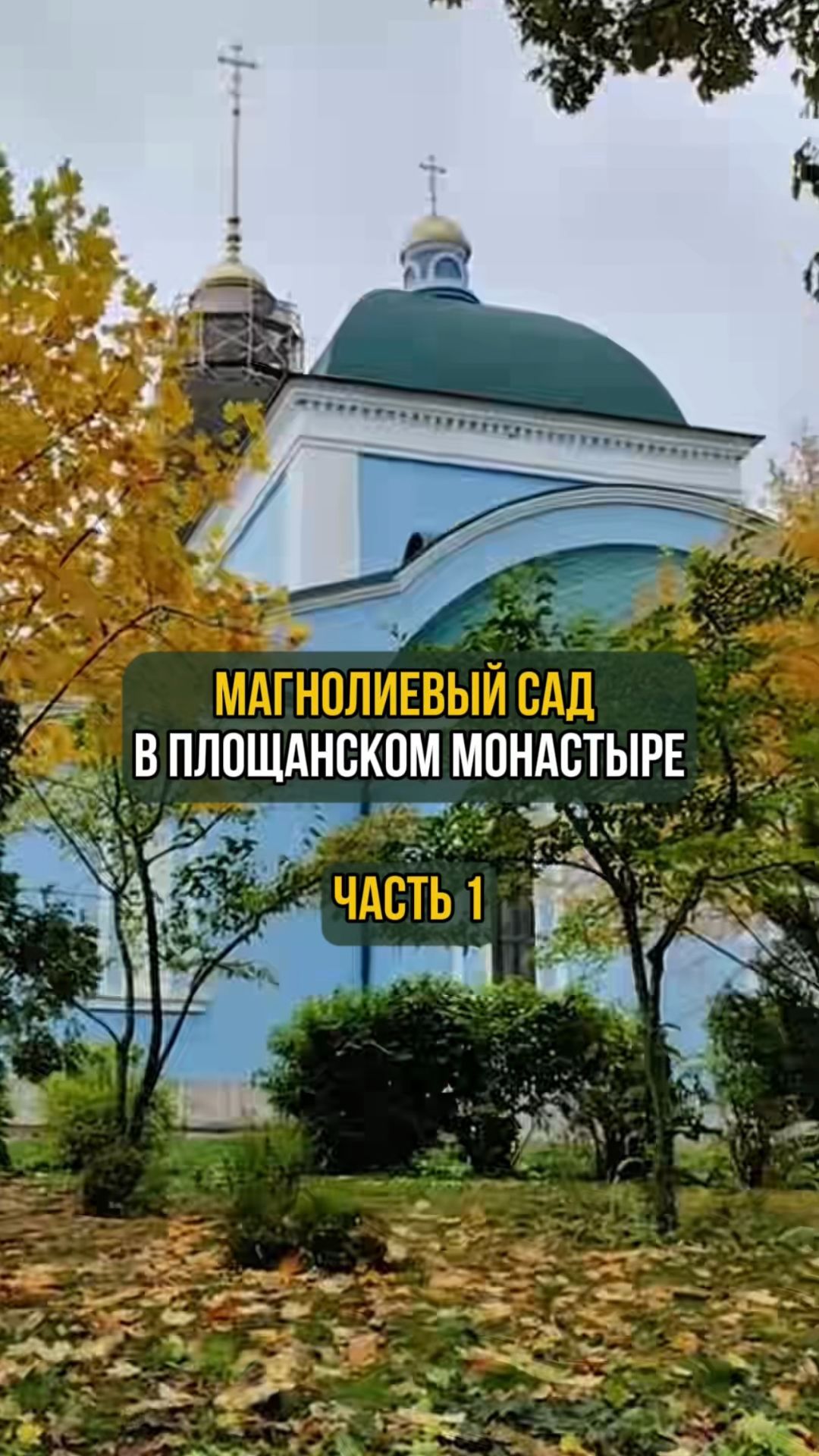 Магнолиевый сад в Площанском монастыре. Часть 1