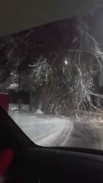 Ледяной апокалипсис в Ростовской области ледяной дождь оставил без света почти 195 тыс. человек