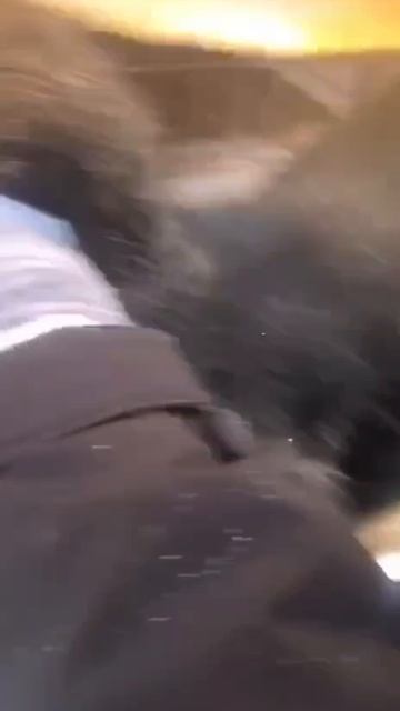 🟥🟥🟥🟥🟥🆘🆘🆘🟥🟥🟥🟥🟥
«Меня зовут Симпа. Я бездомная собака из города Кувандык Оренбургской. 🟥🟥🟥🟥🟥🆘🆘🆘🟥🟥🟥🟥🟥
«Меня зовут Симпа. Я бездомная собака из города Кувандык Оренбургской.