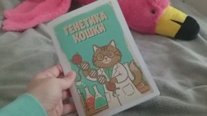 Генетика кошки - книга с картинками о том, как устроены наши питомцы на генетическом уровне